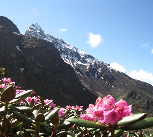 Gangtok & Darjeeling Tour